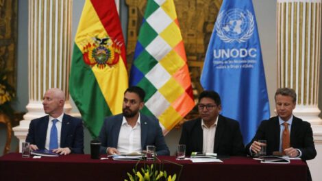 Cultivos de hoja de coca en Bolivia disminuyen un 2% en 2022