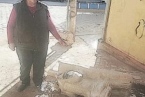 Derriban monumento histórico en Huanuni