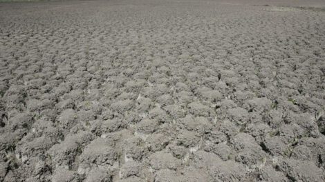 Crisis climática en África