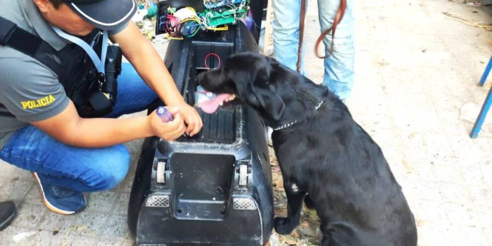 Perro de la Felcn detecta marihuana en parlante que era enviado en encomienda a Brasil