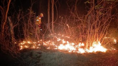 Emergencia en Santa Cruz por incendios activos