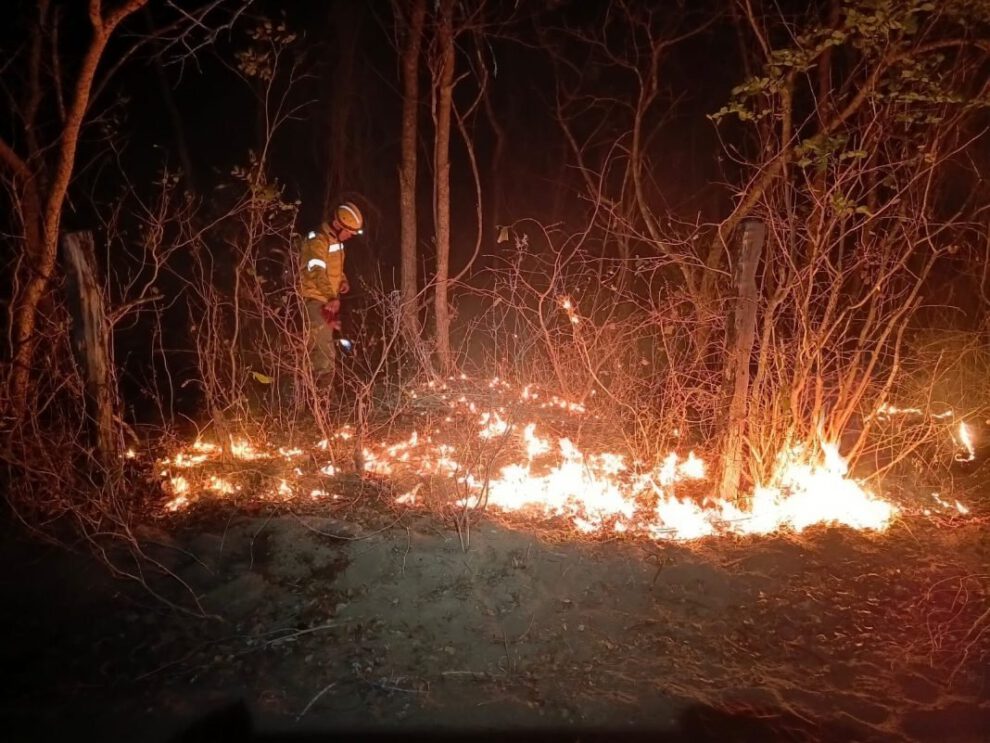 Emergencia en Santa Cruz por incendios activos