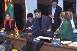 Debate en el MAS sobre la elección de la directiva del Senado
