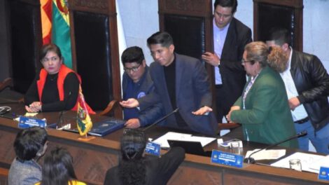 Debate en el MAS sobre la elección de la directiva del Senado