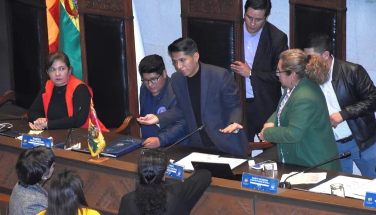 Debate en el MAS sobre la elección de la directiva del Senado