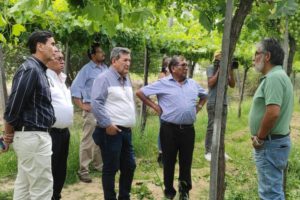 Cámara Agroindustrial de Tarija para promover el desarrollo agrícola