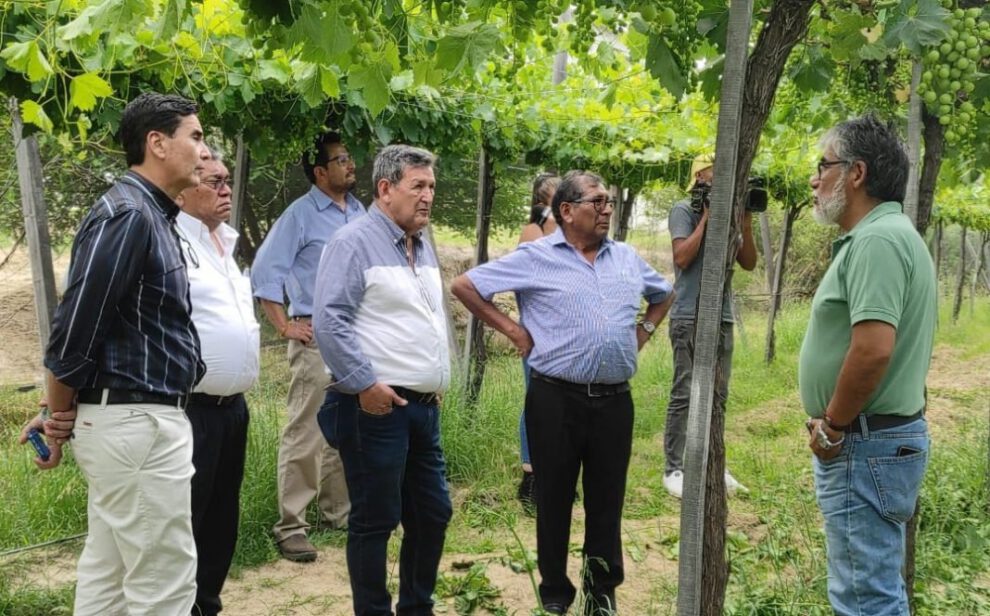 Cámara Agroindustrial de Tarija para promover el desarrollo agrícola