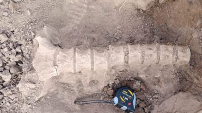 Fósiles de perezoso gigante en Chuquisaca