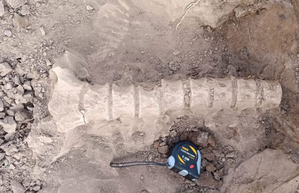 Fósiles de perezoso gigante en Chuquisaca
