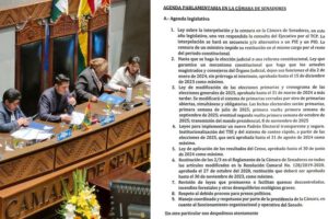 Agenda de 9 puntos presentada por la oposición en el Senado