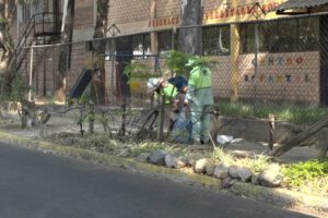 Micropulmón ecológico en Cochabamba impulsado por la Alcaldía y UMSS