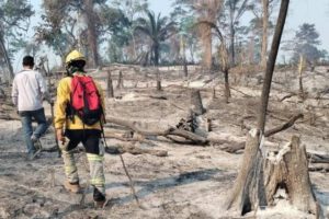 Incendios forestales en Santa Cruz afectan 200.000 hectáreas