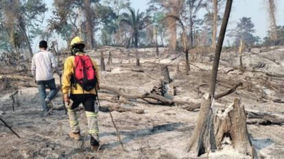 Incendios forestales en Santa Cruz afectan 200.000 hectáreas