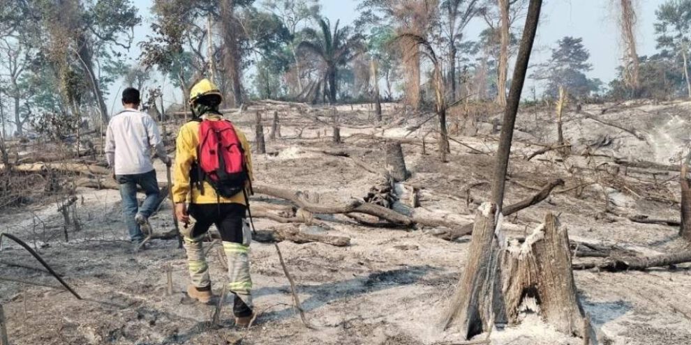 Incendios forestales en Santa Cruz afectan 200.000 hectáreas