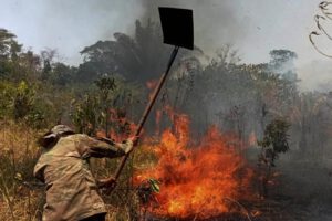 Incendios provocados en La Paz