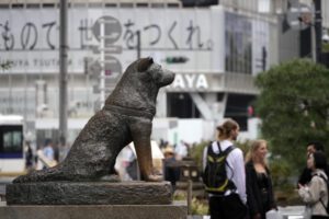 Hachiko, el perro fiel, cumple 100 años esperando a su dueño en Tokio