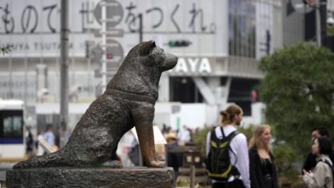 Hachiko, el perro fiel, cumple 100 años esperando a su dueño en Tokio