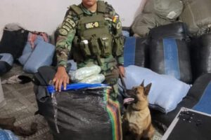 Can antidrogas detecta sustancias controladas en terminal de autobuses de Bermejo