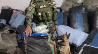 Can antidrogas detecta sustancias controladas en terminal de autobuses de Bermejo