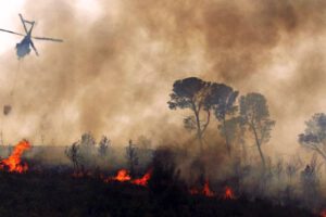 Incendio forestal en Montero afecta a animales del refugio de vida silvestre