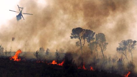 Incendio forestal en Montero afecta a animales del refugio de vida silvestre