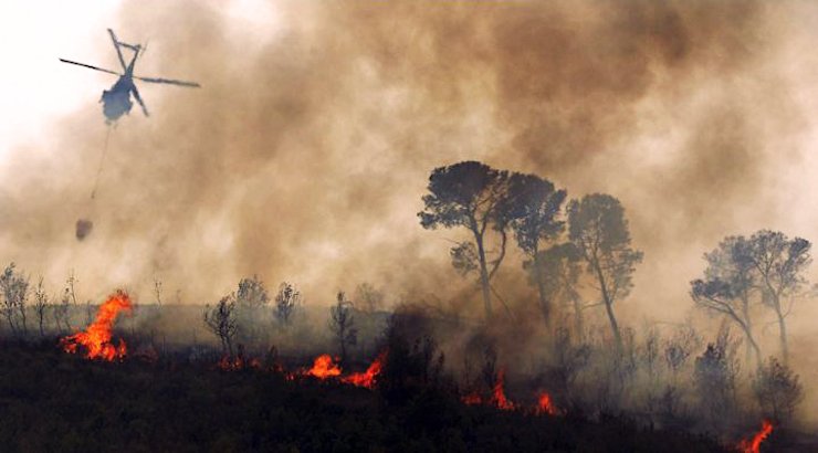Incendio forestal en Montero afecta a animales del refugio de vida silvestre
