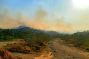 Incendio forestal en San Buenaventura