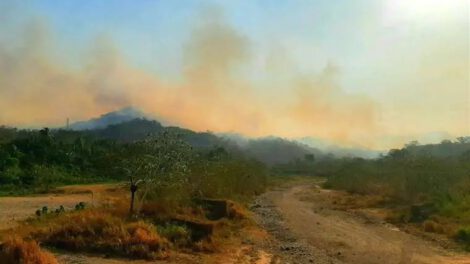 Incendio forestal en San Buenaventura