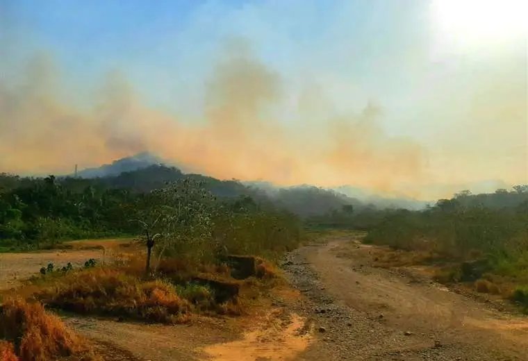 Incendio forestal en San Buenaventura