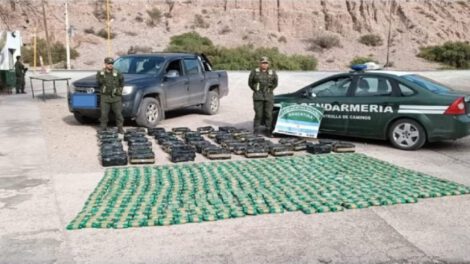 Decomiso de hoja de coca en Jujuy