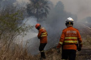 Incendios en el Pantanal, el mayor humedal del mundo