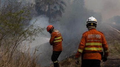 Incendios en el Pantanal, el mayor humedal del mundo