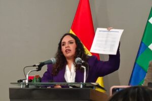 Ministra de Salud desmiente rumores sobre muertes por humareda en incendios: fue el golpe de calor