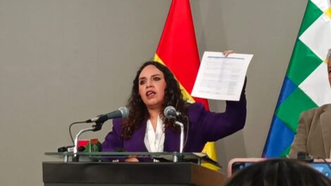 Ministra de Salud desmiente rumores sobre muertes por humareda en incendios: fue el golpe de calor