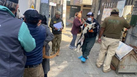Rescate de refugio de mascotas en La Paz