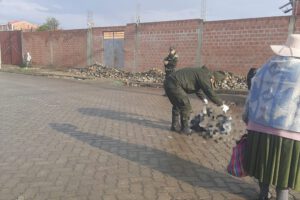 Policía detiene a conductor acusado de atropellar