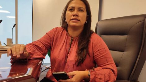 Diputada Priscila Dantes expresa preocupación por retrasos en el puente Bolivia-Brasil