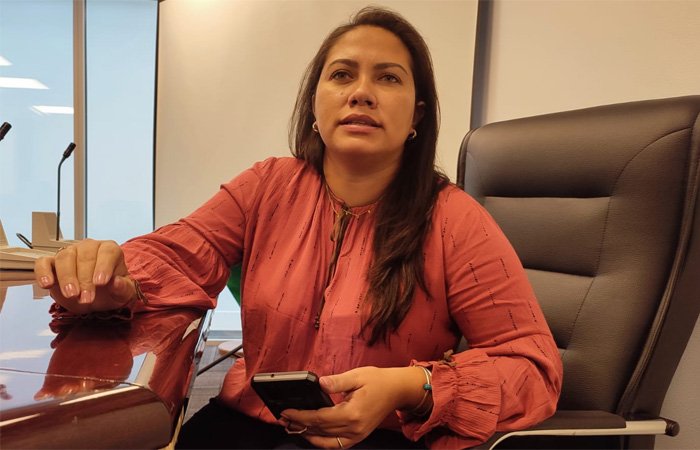 Diputada Priscila Dantes expresa preocupación por retrasos en el puente Bolivia-Brasil