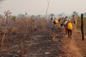 Santa Cruz libre de incendios forestales gracias a la acción coordinada de bomberos y organizaciones locales
