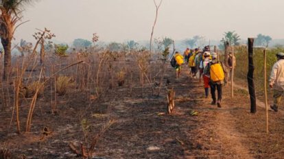 Santa Cruz libre de incendios forestales gracias a la acción coordinada de bomberos y organizaciones locales