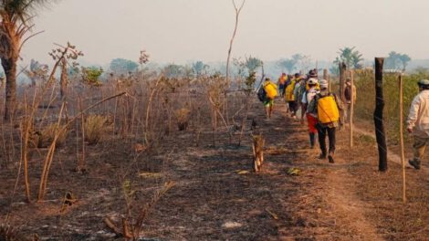 Santa Cruz libre de incendios forestales gracias a la acción coordinada de bomberos y organizaciones locales