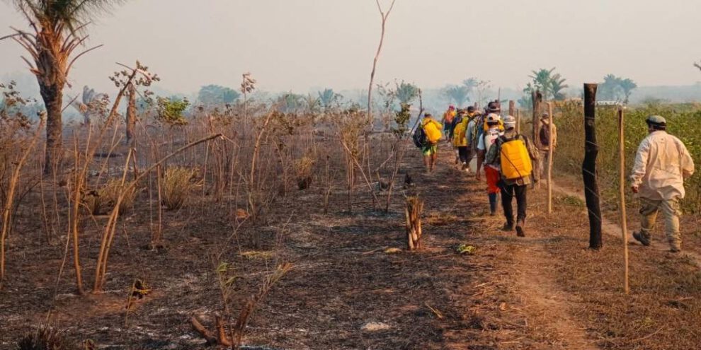 Santa Cruz libre de incendios forestales gracias a la acción coordinada de bomberos y organizaciones locales