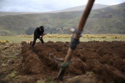 Cambio climático en la agricultura afecta a agricultores peruanos