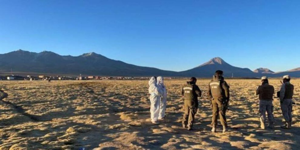 Asesinato de migrante irregular en Colchane