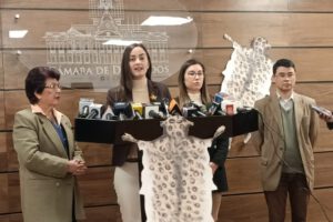 Denuncia penal incendios forestales por Luisa Nayar