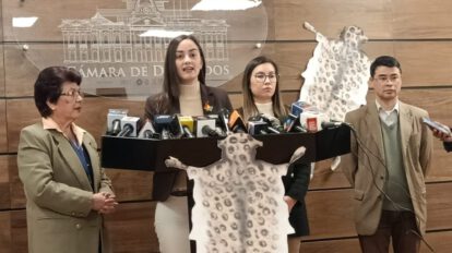 Denuncia penal incendios forestales por Luisa Nayar