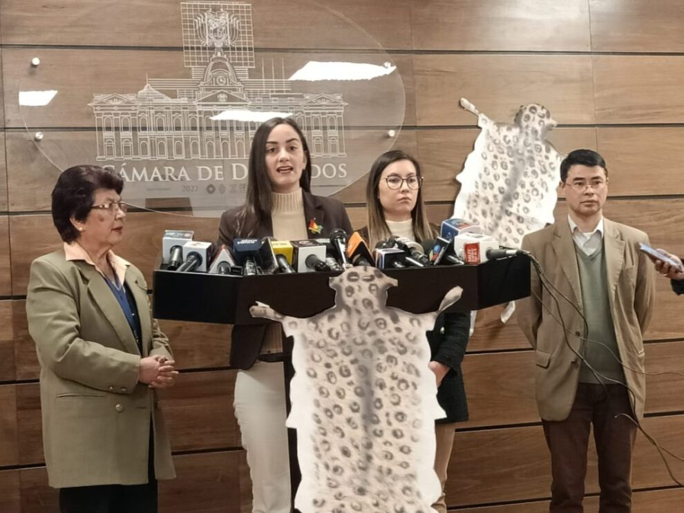 Denuncia penal incendios forestales por Luisa Nayar
