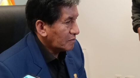 Revocatoria contra Arce