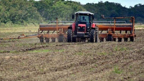 Abastecimiento de diésel para el sector agropecuario