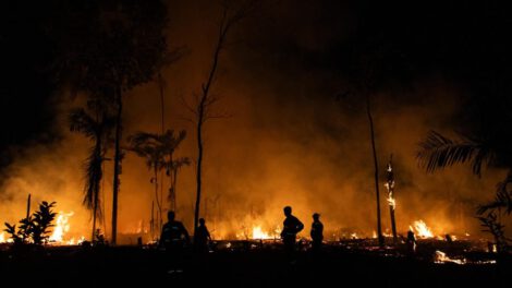 Incendios forestales en Amazonía brasileña
